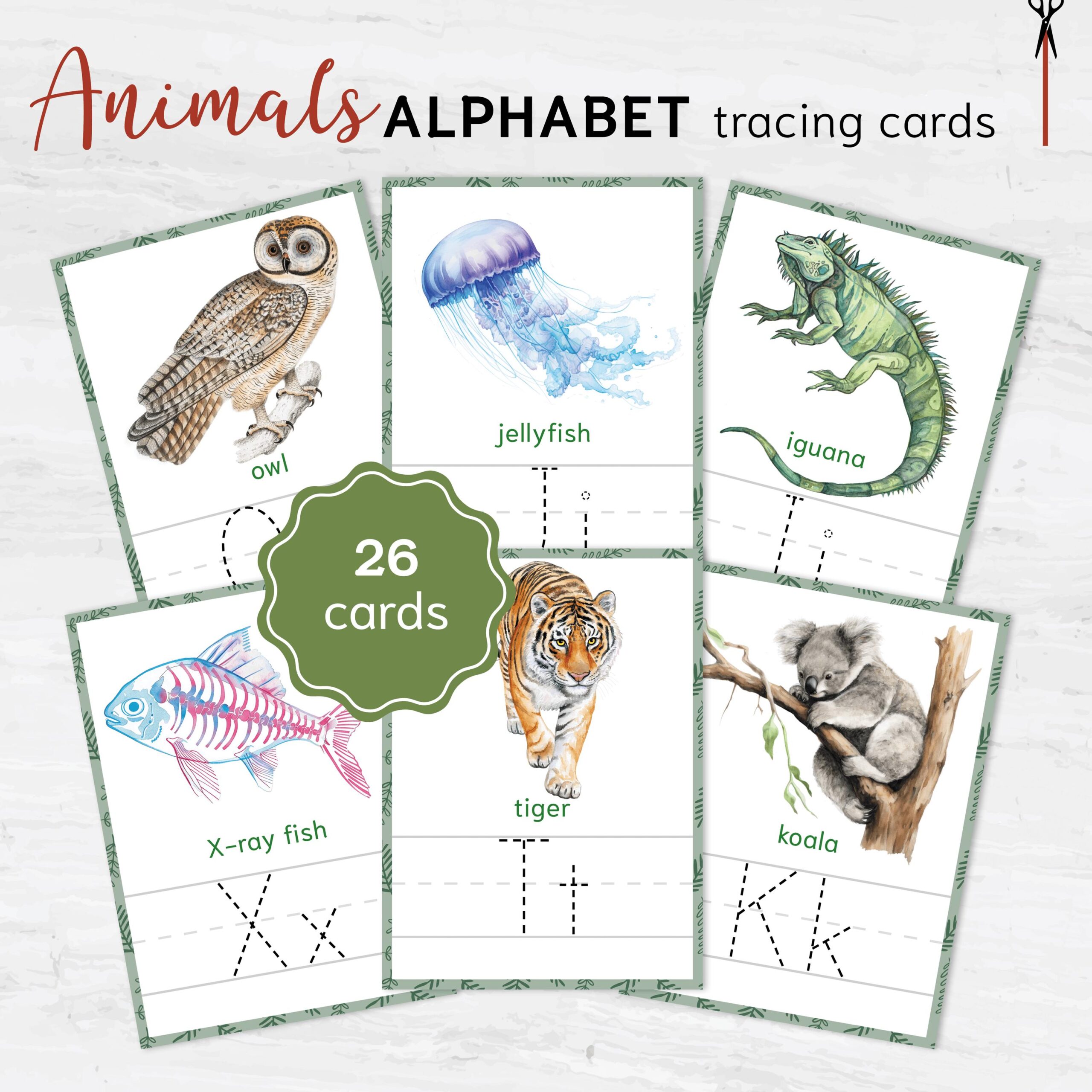 Animal Alphabet Tracing Cards – 26 Vibrant Illustrations for Learning Letters